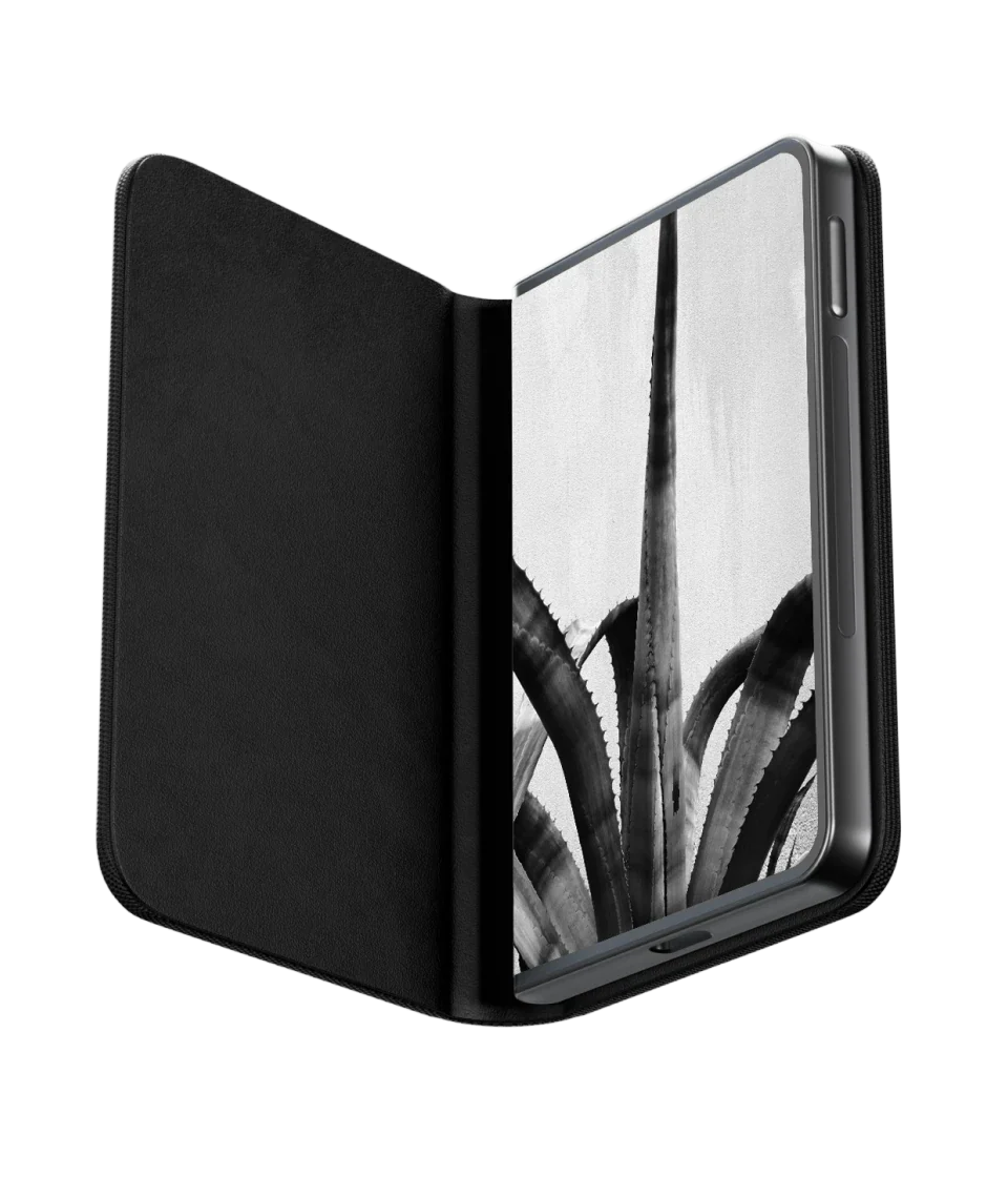 Ledger Stax Graphite with Recovery Key